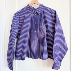 Banana Republic Blue and Red Striped Shirt